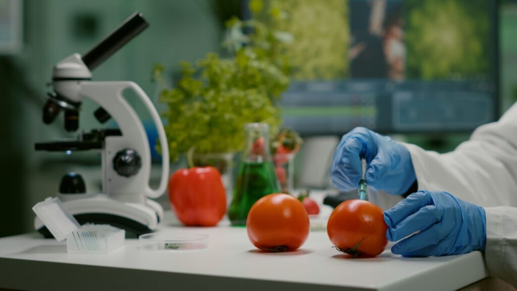 Closeup of chemist scientist injecting organic tomato