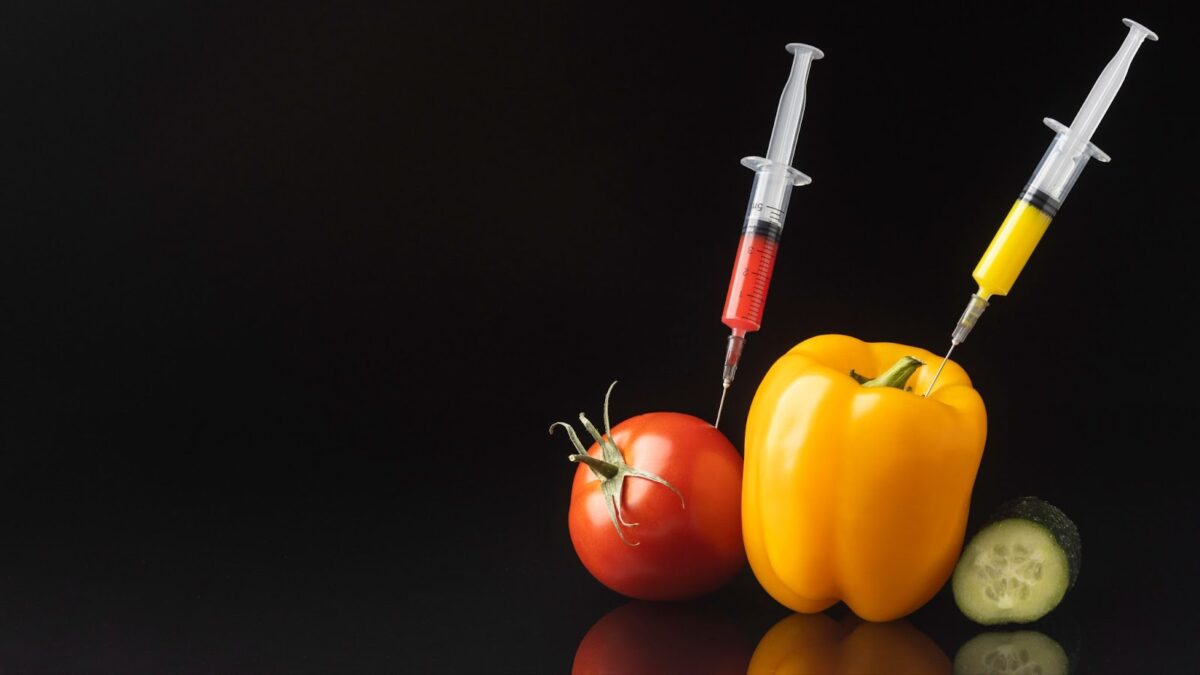 Exploring the Best Genetically Modified Foods