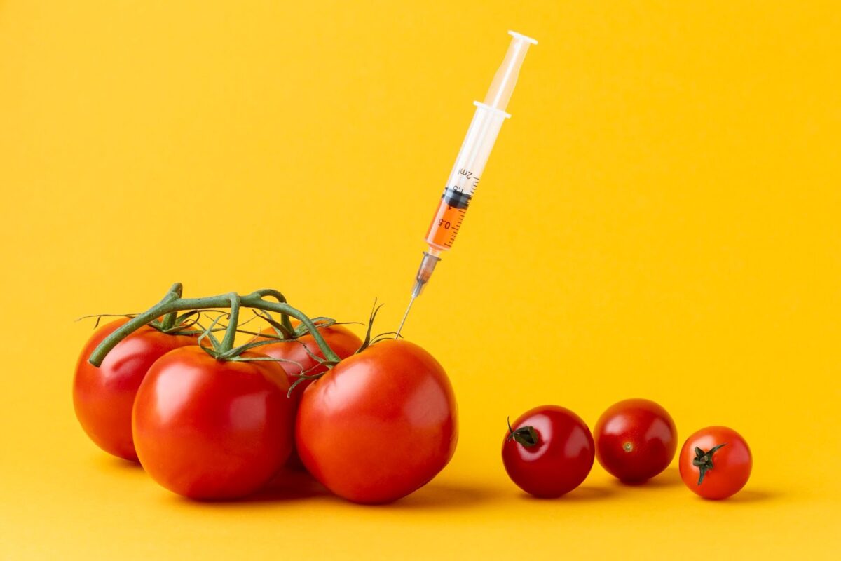 Exploring the Pros and Cons of GMOs