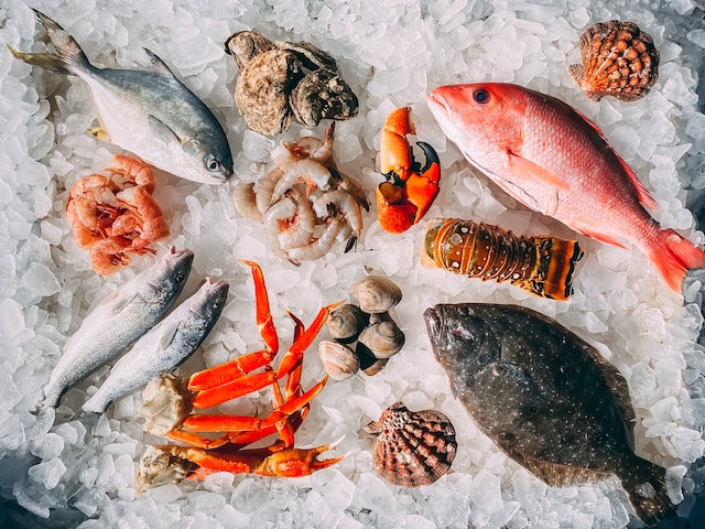 From Lab to Table: GMO Fish in Casino Restaurants