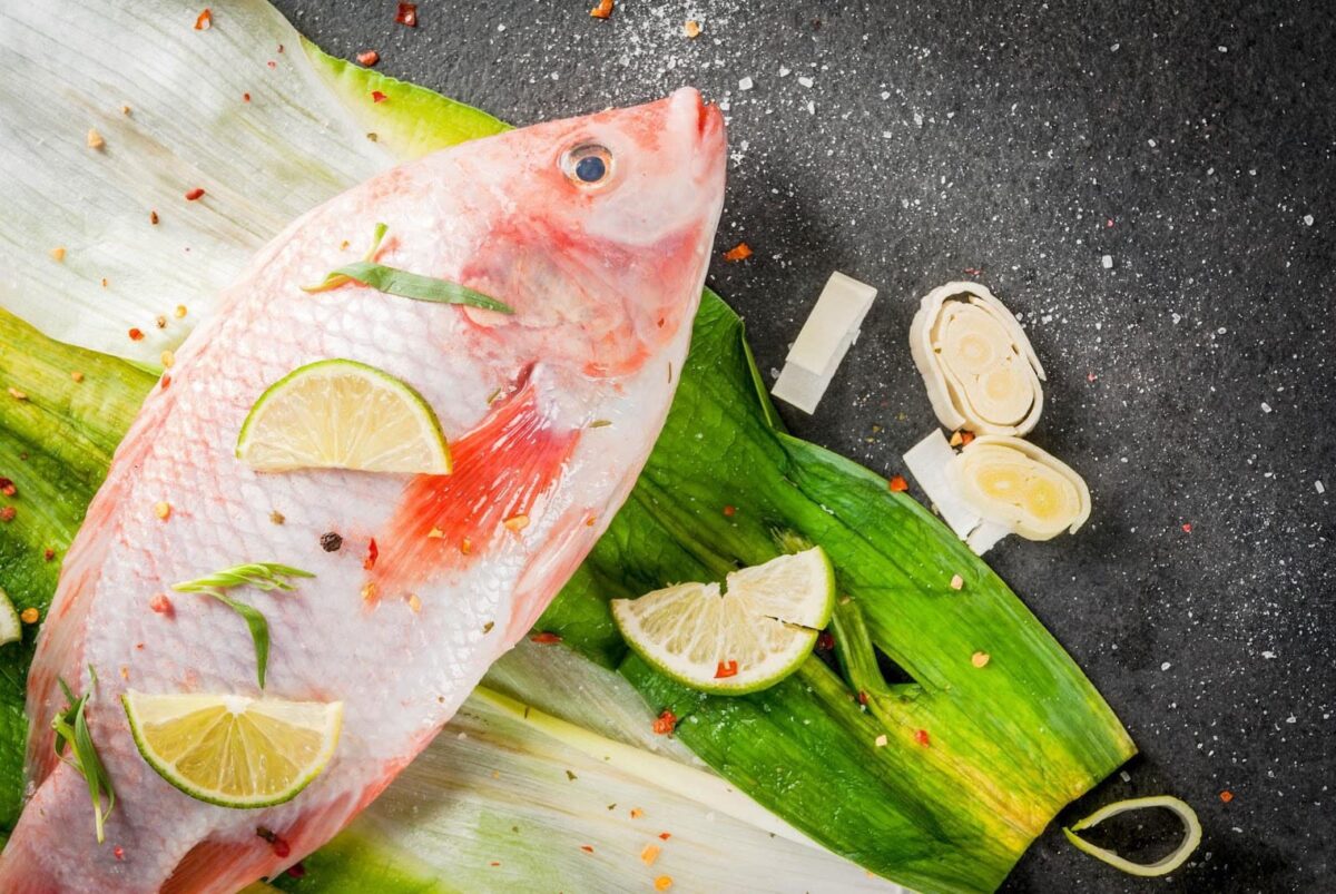Exploring the Enigma of Tilapia: Unveiling the Mysteries