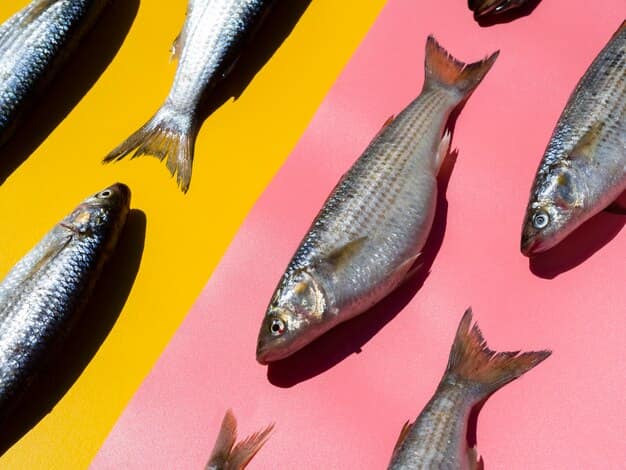 NC Freshwater Fish: A Full Review into Angler’s Favorites