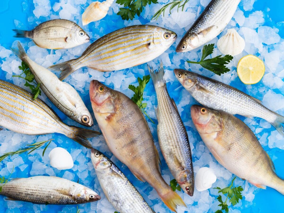 Exploring the Array of Blue-Hued Fish in Our Oceans
